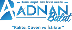 Avada Car Dealership Logo